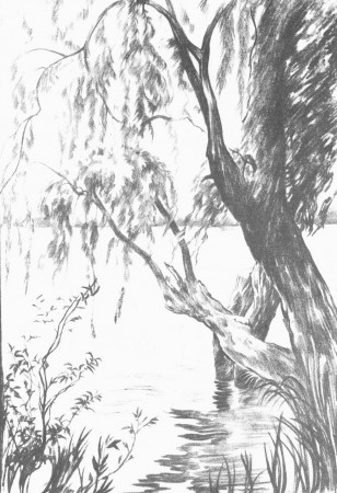 El paisaje.