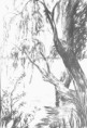 /album/el-paisaje-natural-/paisaje8-jpg1/