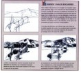 /album/nociones-basicas-de-composicion-/a1%c2%b0compo1-jpg/