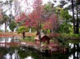 /album/paisaje-locales-/a478549200-e196381c1d-z-jpg/