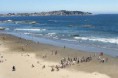 /album/paisaje-locales-/playa-132630-jpg/