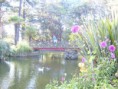 /album/paisaje-locales-/a1265384822637-f-jpg/